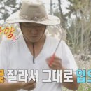 제주곡물
