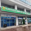 지역농협 부실채권 증가… 내 예금은 안전할까? 지역농협 파산 시 예금자보호부터 인수합병까지 이미지