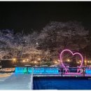 숲속의 하얀집 이미지