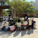 장등초등학교 이미지