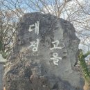 고운뜰길 | 제주 기억하기 2 / 추사관 뜰 앞에 수선화를 보다