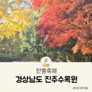SK에너지(주)수목원주유소 | 경상남도 진주수목원 단풍축제 아기랑 가족나들이 주차팁