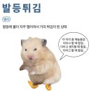 여수결혼화환 | Wedding #4. 근화원 가을 예식 하객 후기