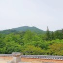 광신식당 네이버블로그
