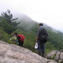 영축산정상 이미지