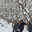 명동산장펜션