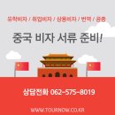 나우플러스투어