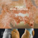 앤(N)서울신경외과의원 | 강남줄기세포지방이식 추천&amp;비용 총정리 — 잘하는곳부터 후기정리까지 한눈에