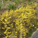 김시습기념관 이미지