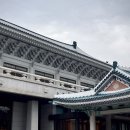 넷플릭스, [돌풍] 정주행 시청후기