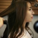 43에비뉴 이미지
