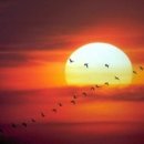 호텔벨루스 이미지