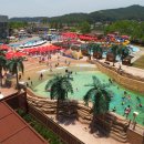 파라다이스스파도고 이미지