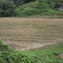 서서울농업협동조합 노동조합 이미지