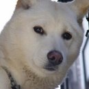 에벤에셀광고사 이미지