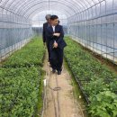 형제농원 이미지