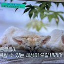 강남대로10길 59 이미지