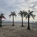 비치캐슬 이미지