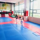 용인대다옴태권도장 이미지