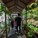 스타필드어린이집 이미지