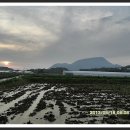 원덕리도 이미지