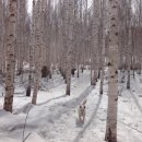 인제17-3 이미지