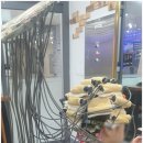 더예쁜헤어 이미지