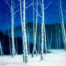 자작나무 이미지