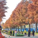 해남군장애인종합복지관 이미지