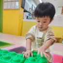 코스모스 어린이집 이미지