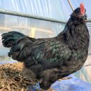 아성슈퍼 이미지