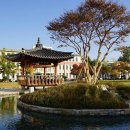 전북대학교 Daum카페