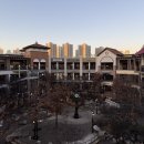 스타벅스시흥프리미엄아울렛(스타벅스시흥P아울렛) | 스타벅스 시흥P.아울렛 3F | 더블 에스프레소 크림 라떼 카페라떼 2025 새해시즌 음료 및 해리포터 MD...