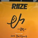 누네띠네 이미지