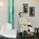 스테이오로지 이미지