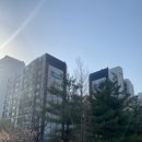 목련1공인중개사사무소 이미지