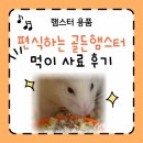 펫가든 | 골든햄스터먹이 사료 햄스터가든 로디펫 후기