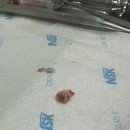 유재석치과의원 이미지