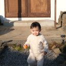 봄빛 코티지 이미지