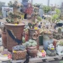 이천농원 이미지