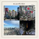 난세를 무사히 건너는 법 | 도쿄여행 3박 4일 2일차 일정 공유 신주쿠 시부야 롯폰기 일루미네이션까지