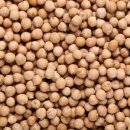 병아리 콩 이미지