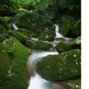 이끼 - 중구 다산로29길 30 | 이끼