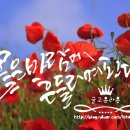 글라온캘리그라피 이미지