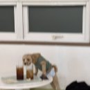 아지스테이션 이미지