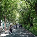 중랑천 산책로 이미지