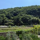 태백수퍼 | 강원도 태백 산골소녀의 체대 도전기 1탄