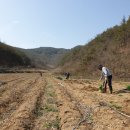 신왕농장 이미지