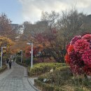 서울시립미술관 이미지