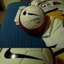 수원-0868 이미지